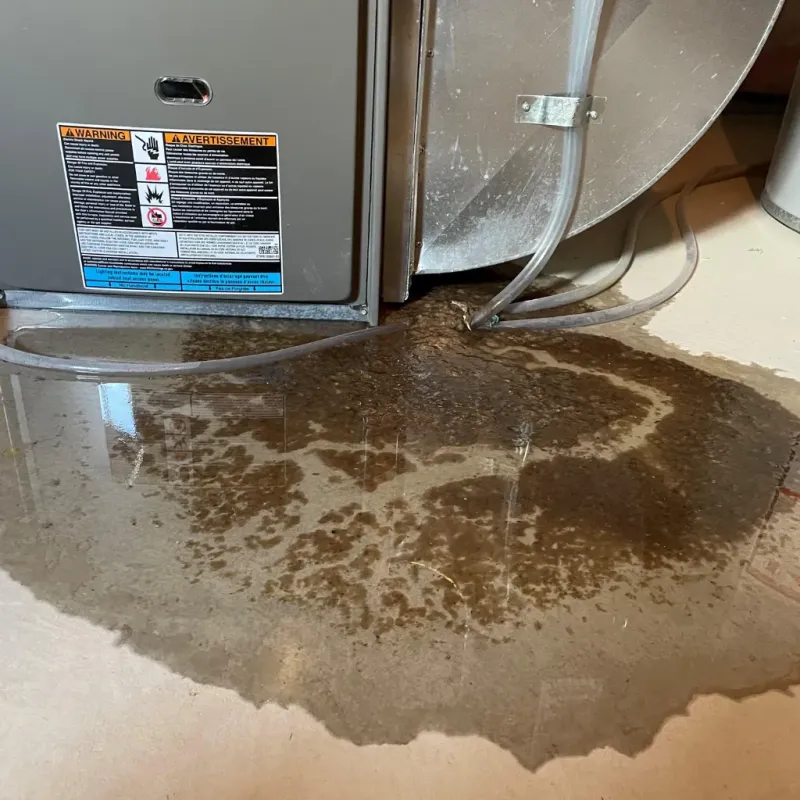 Appliance Leak Cleanup in Camden, NC